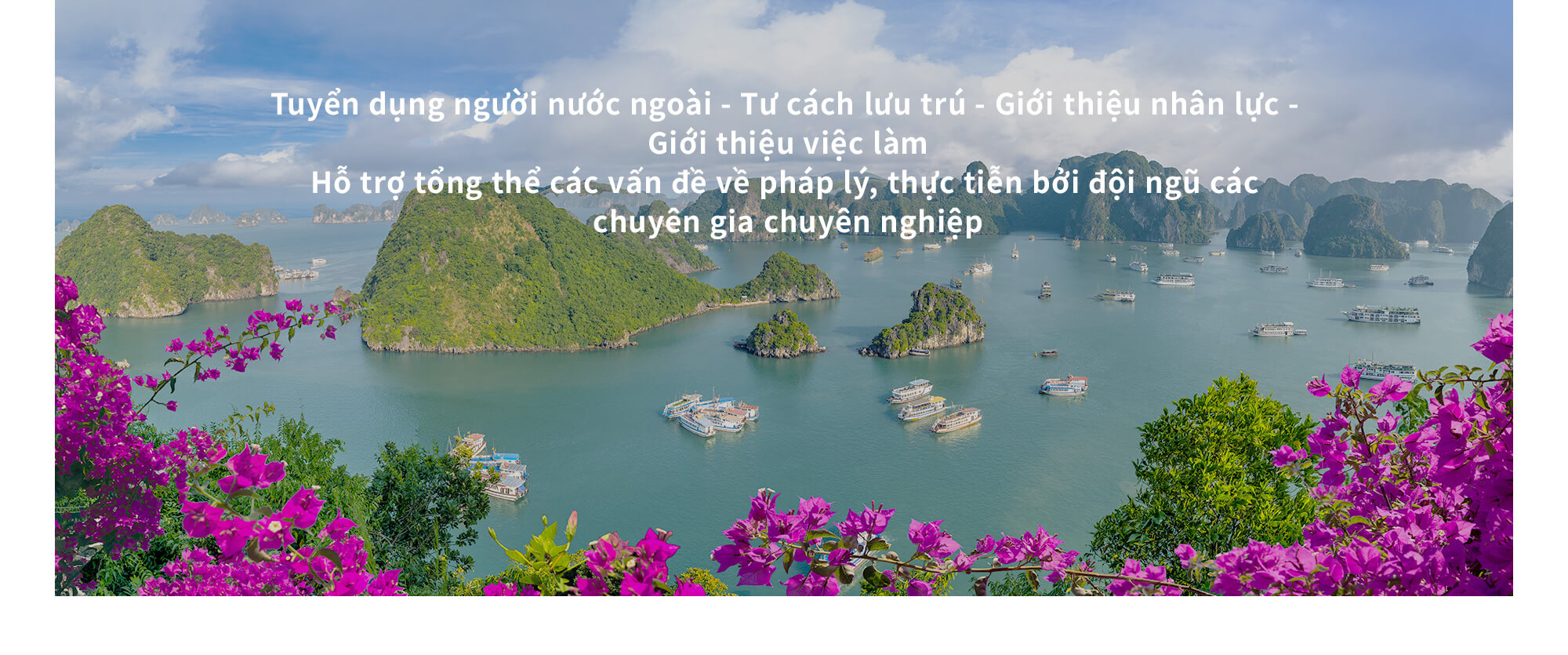 Tuyển dụng người nước ngoài - Tư cách lưu trú - Giới thiệu nhân lực - Giới thiệu việc làm Hỗ trợ tổng thể các vấn đề về pháp lý, thực tiễn bởi đội ngũ các chuyên gia chuyên nghiệp