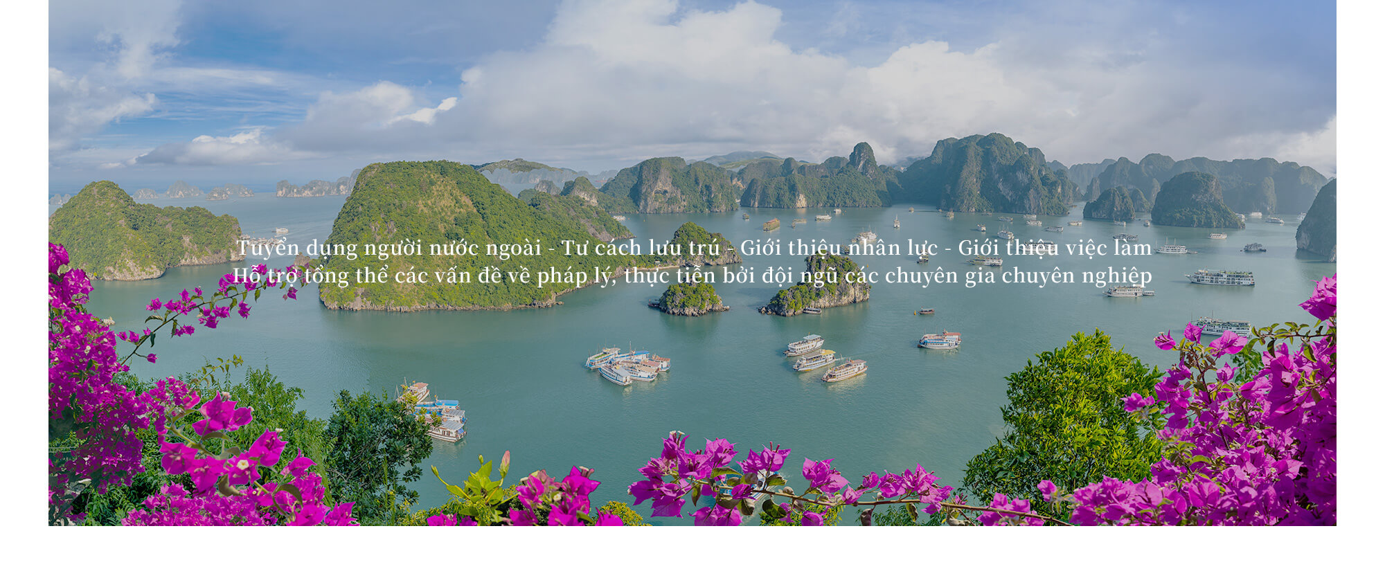 Tuyển dụng người nước ngoài - Tư cách lưu trú - Giới thiệu nhân lực - Giới thiệu việc làm Hỗ trợ tổng thể các vấn đề về pháp lý, thực tiễn bởi đội ngũ các chuyên gia chuyên nghiệp